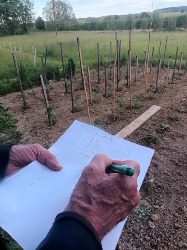 le plan du potager