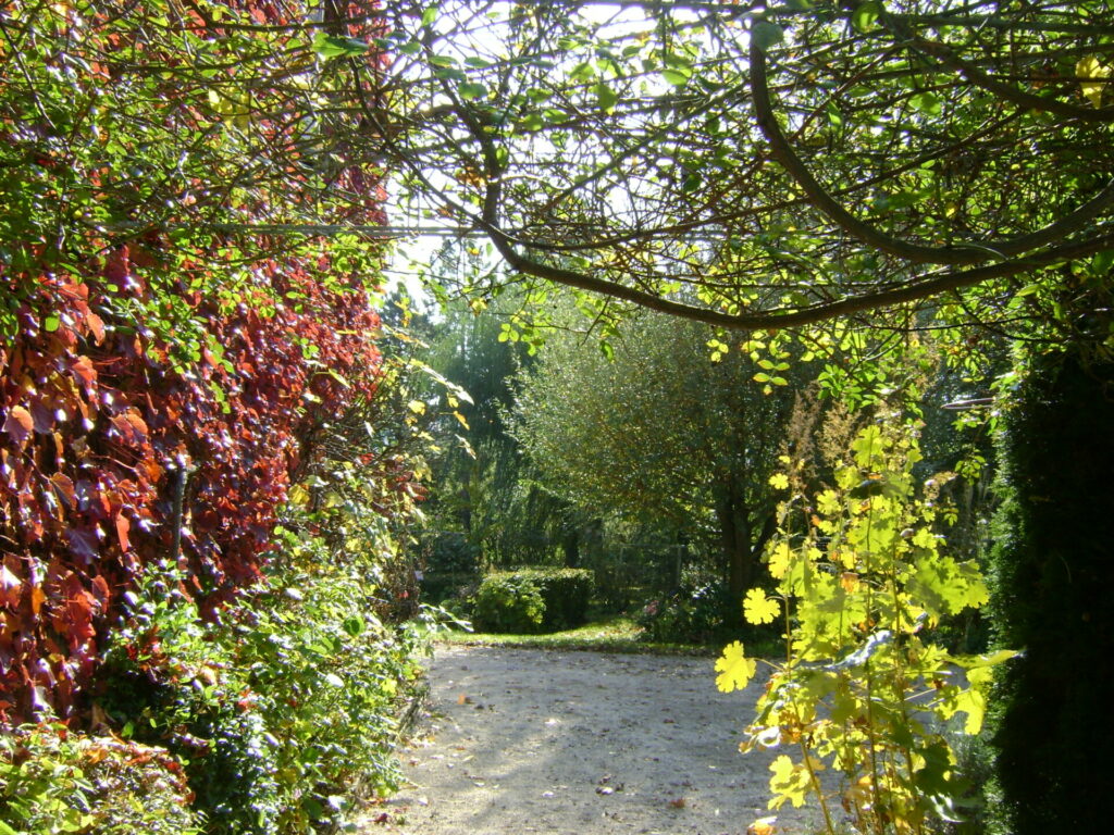 Lumières d'automne sous la pergola