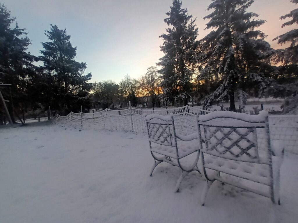 Surprise du matin, lever du soleil sur l étang avec la neige en sus.